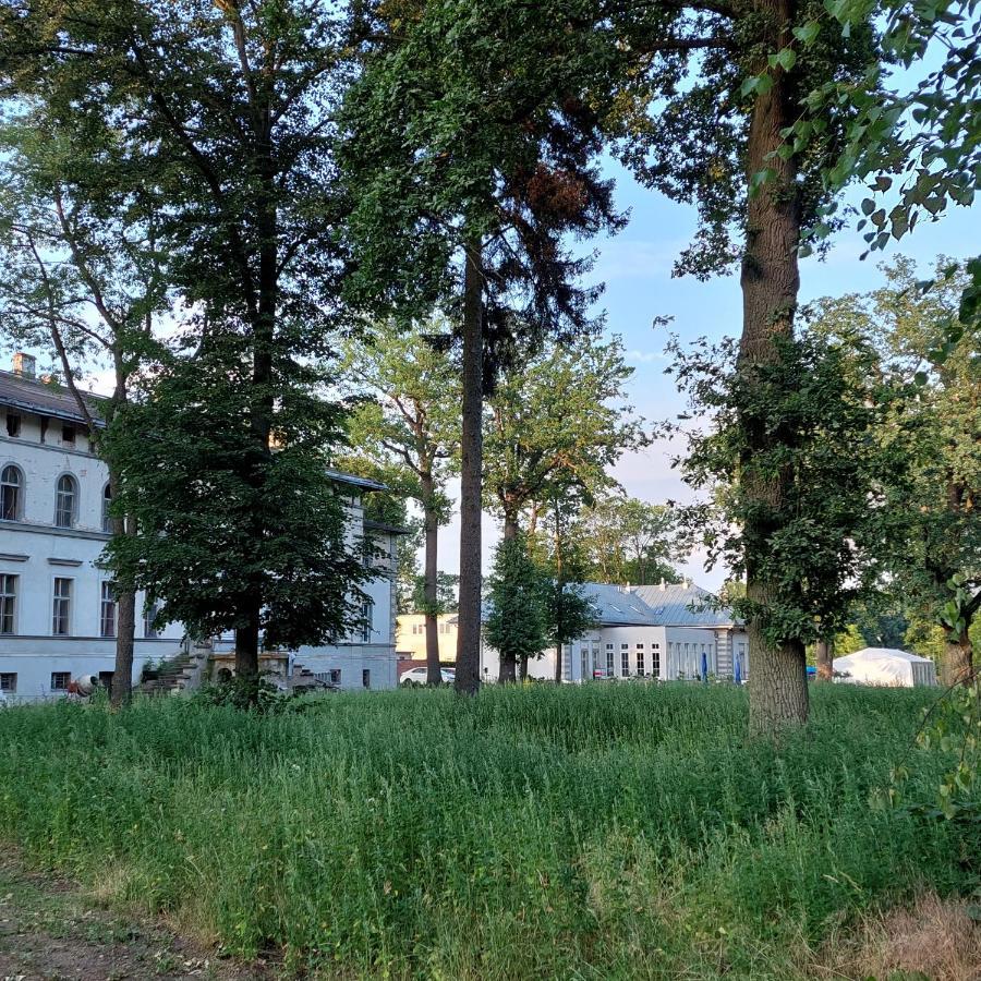 Palac Dabrowka Rawicz Bagian luar foto